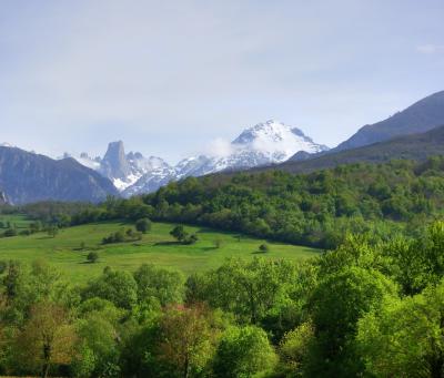 Прикрепленное изображение: DSC06298_299_300_Enhancer_ц.jpg